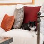 Photo of Magy Interiors