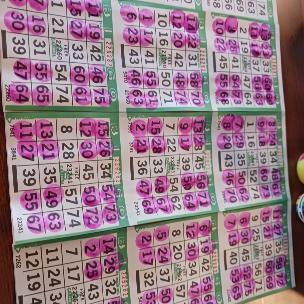 Lake Eustis Waterfront Grille - and don't forget bingo on Thursday at 7PM - Seafood Near Me - Eustis, Florida Lake Eustis Waterfront Grille - and don't forget bingo on Thursday at 7PM - Seafood Near Me - Eustis, Florida