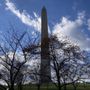 Photo of America’s National Parks Store At The Washington Monument
