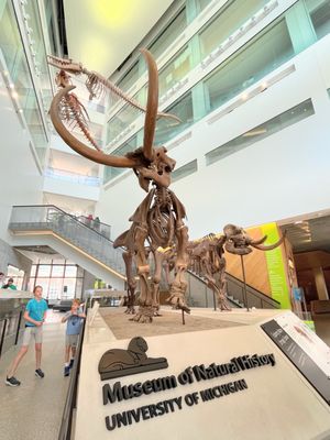 University of Michigan Museum of Natural History by null