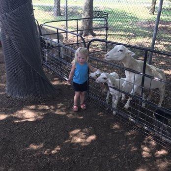Sharkarosa Wildlife Ranch - Attraction Farms Near Me - Pilot Point, Texas Sharkarosa Wildlife Ranch - Attraction Farms Near Me - Pilot Point, Texas