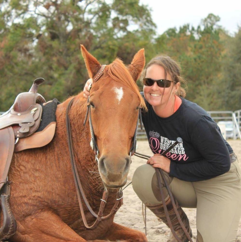 EQUISTARRE HORSEMANSHIP Updated May 2024 42 Photos 3007 Oak Ridge