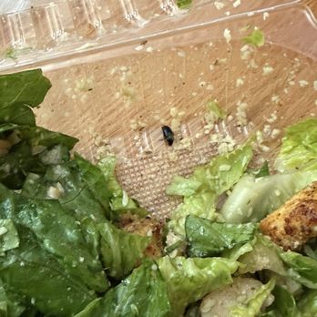 Fresh Corn Grill - Big ass bug in my Caesar Salad - Pizza Near Me - West Hollywood, California