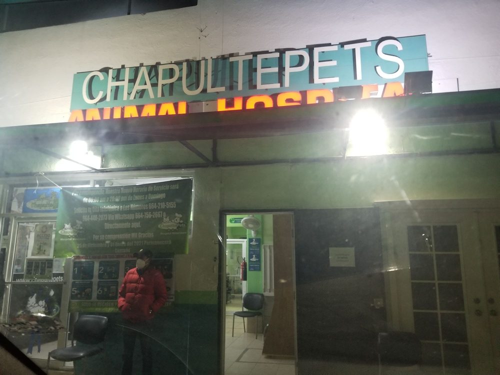 CHAPULTEPETS ANIMAL HOSPITAL Updated September 2024 Calle 13 1024