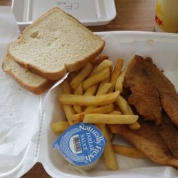 Tilapia