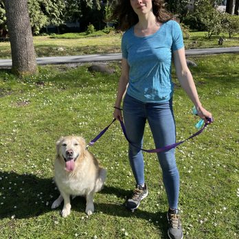 Shining Moon Dog Training - Happy on her walk with Angelica. - Pet Training Near Me