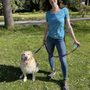 Shining Moon Dog Training