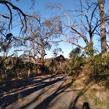 Belair National Park - Park - Parks Near Me - Belair, SA