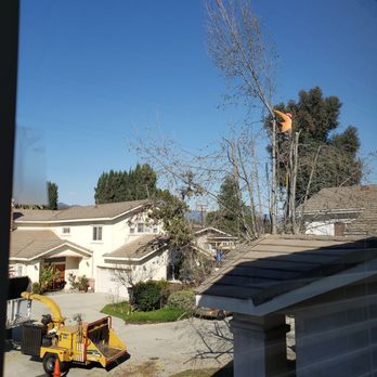 Lopez Tree Service - Landscaping Near Me - Altadena , California