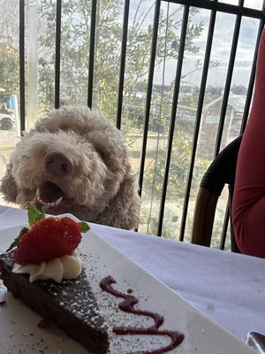 631 Franks on Front by null