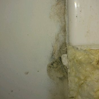 John Santiago-RE/MAX Center - Mold in bathroom after repairs "were completed" - Real Estate Agents Near Me - Duluth, Georgia John Santiago-RE/MAX Center - Mold in bathroom after repairs "were completed" - Real Estate Agents Near Me - Duluth, Georgia