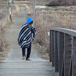 Stroudwater Trail - This is what happens if you go on a hike in the middle of the winter and it's just too cold.