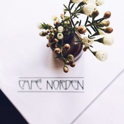 Cafe Norden