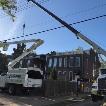 Clipper Tree & Landscape - a utility truck and a utility truck - Tree Services Near Me - St. Louis, Missouri Clipper Tree & Landscape - a utility truck and a utility truck - Tree Services Near Me - St. Louis, Missouri