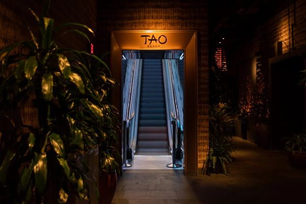 TAO Beach by null