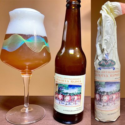 The Wise Old Dog by null