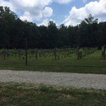 Skipper's Creek Vineyard - a view of the vineyard - Wineries Near Me - Powhatan, Virginia