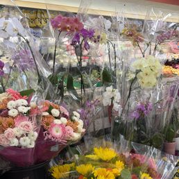 Floral dept Floral dept