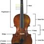 Photo of Music Lessons