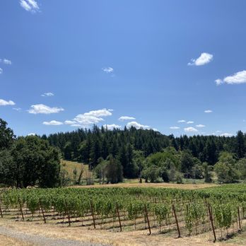 King's North - Vineyard view - Wine Tasting Room Near Me - Newberg, Oregon
