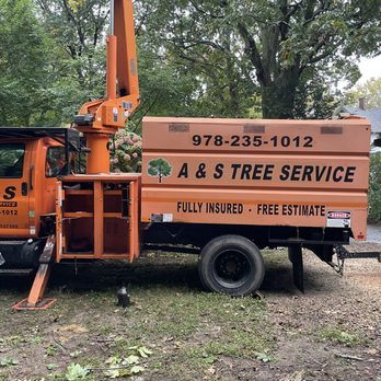 A & S Tree Service - Tree Services Near Me - Wilmington, Massachusetts