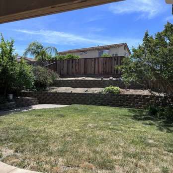 Rafael's Tree Service - After - Tree Services Near Me - Oakley, California