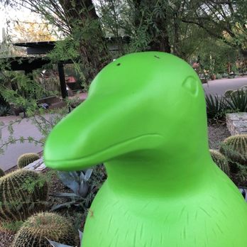 Desert Botanical Garden - Botanical Gardens Near Me - Phoenix, Arizona Desert Botanical Garden - Botanical Gardens Near Me - Phoenix, Arizona