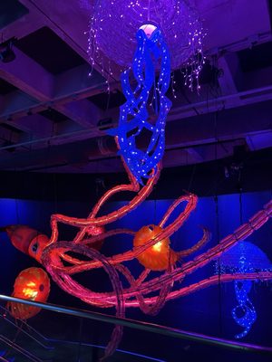 South Carolina Aquarium by null