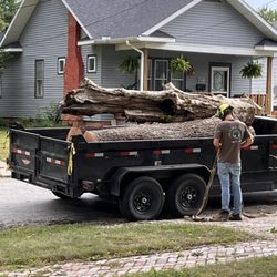 Giving Tree Land Development - One of two giant trees they cut down for me. This one was a sycamore. The other was a dead ash.