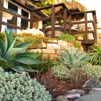 Studio Petrichor - Low water landscapes - Landscape Architects or Designers Near Me - Altadena, California Studio Petrichor - Low water landscapes - Landscape Architects or Designers Near Me - Altadena, California