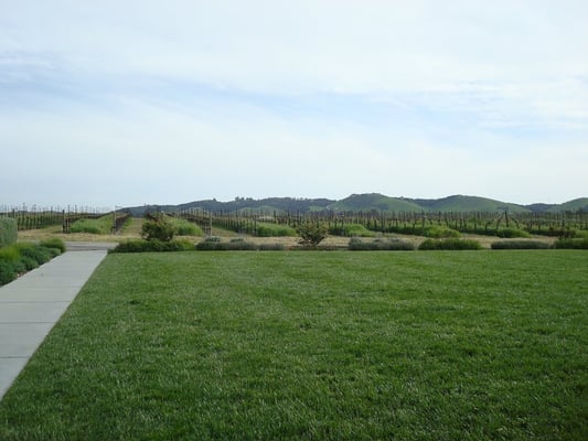 Tolosa Winery by null