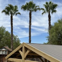 AAA Tree Service