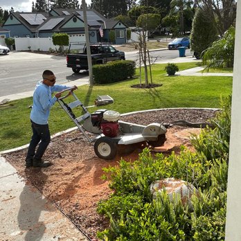 Huerta's Tree Service - Stump Grinding - Tree Services Near Me