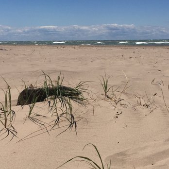 Warren Dunes State Park - Parks Near Me - Sawyer, Michigan