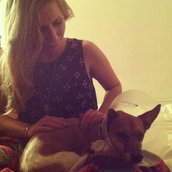 Totem Pet Care - Jennifer giving Reiki - Dog Walkers Near Me - Brooklyn, New York Totem Pet Care - Jennifer giving Reiki - Dog Walkers Near Me - Brooklyn, New York