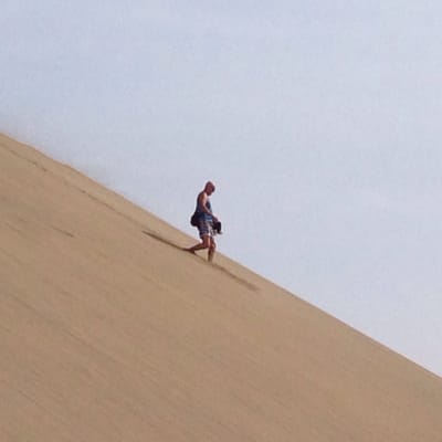 Dunas de Maspalomas by null