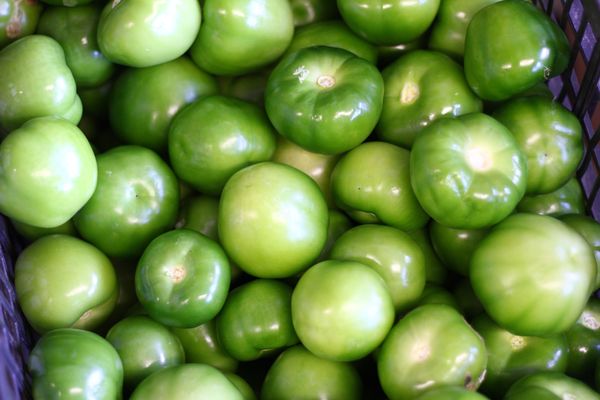 Canino Produce by null