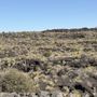 Photo of Valley of Fires Recreation Area