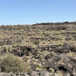 Valley of Fires Recreation Area - 11.22.2025