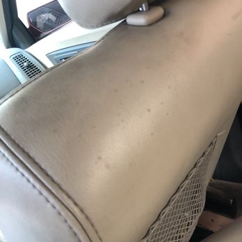 Aliens Transmission - Mold moving towards passenger seat - Auto Repair Near Me - Van Nuys, California