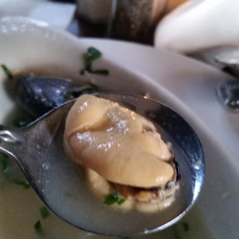 The Observatory - Mussels yummy - New American Near Me - Portland, Oregon The Observatory - Mussels yummy - New American Near Me - Portland, Oregon