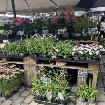 TorvehallerneKBH - Farmers Market Near Me - København K, 84 TorvehallerneKBH - Farmers Market Near Me - København K, 84