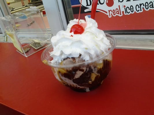 Bruster's Real Ice Cream by null