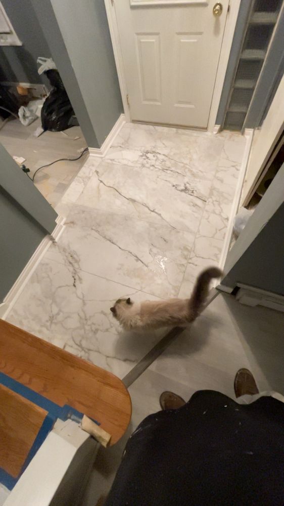 Slide of Rhinos Renovation and Demo