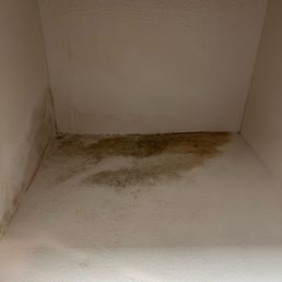 Mold that came back right after it was cleaned in the cabinet next to the kitchen sink. Mold that came back right after it was cleaned in the cabinet next to the kitchen sink.