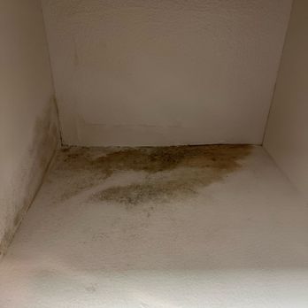 Dominion Heights - Mold that came back right after it was cleaned in the cabinet next to the kitchen sink. - Apartments Near Me - Fresno, California Dominion Heights - Mold that came back right after it was cleaned in the cabinet next to the kitchen sink. - Apartments Near Me - Fresno, California