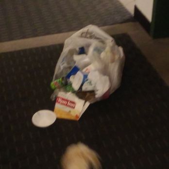 York Brook Apartments - Trash outside the elevators in 130 building - Apartments Near Me - Bensenville, Illinois York Brook Apartments - Trash outside the elevators in 130 building - Apartments Near Me - Bensenville, Illinois