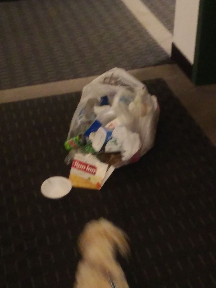 YORK BROOK APARTMENTS 62 Photos & 14 Reviews 100 E St