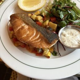 Salmon