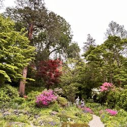 The Botanic Garden of Smith College